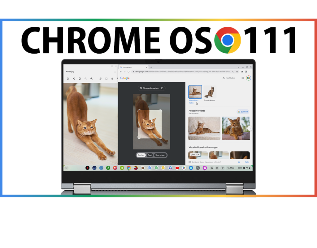 Chrome OS 111: Diese neuen Funktionen bringt das aktuelle Chromebook Update!